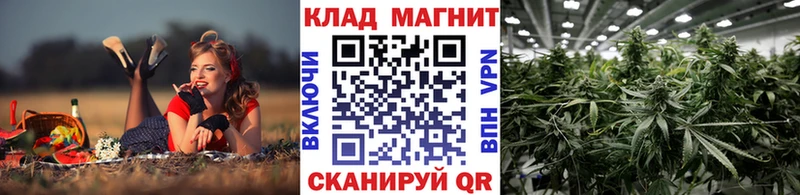 Купить наркотики Новороссийск Бошки Шишки  A PVP  ГАШИШ  МЕФ 