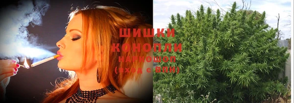 стаф Пролетарск