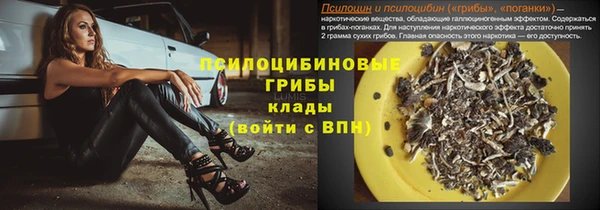 стаф Пролетарск