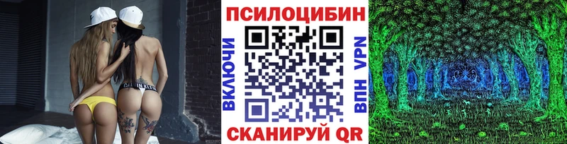 Псилоцибиновые грибы GOLDEN TEACHER  Новороссийск 