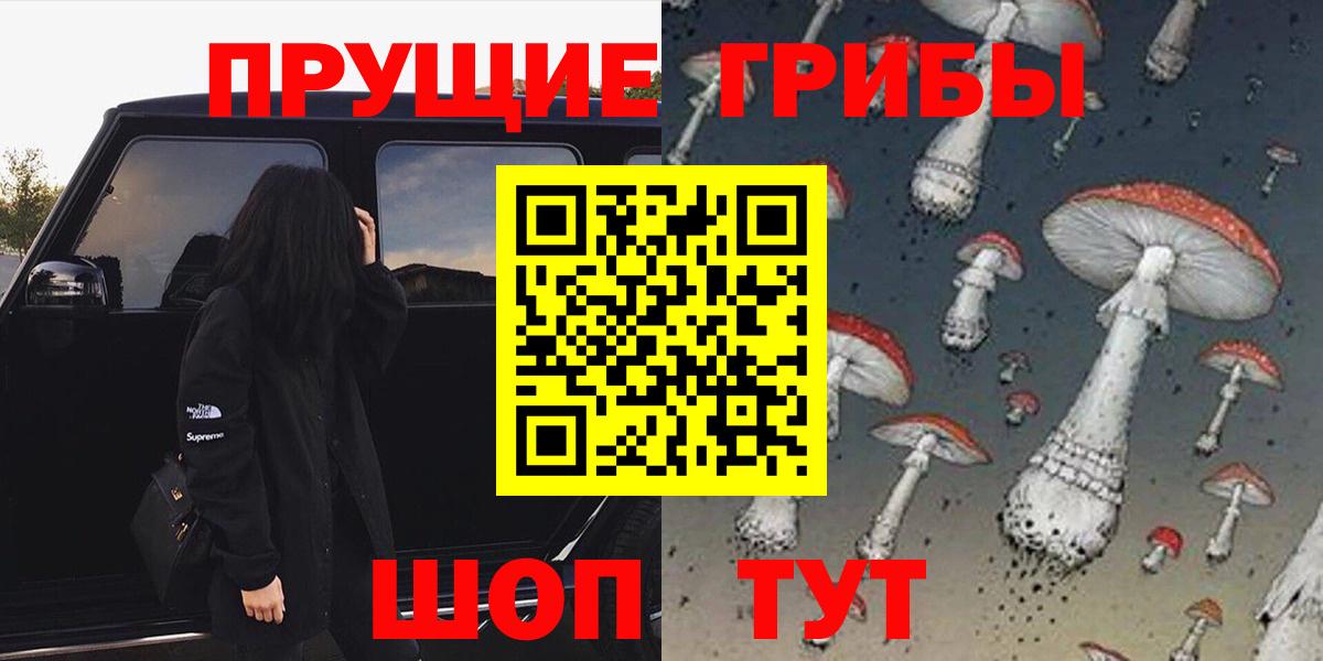 Псилоцибиновые грибы Psilocybine cubensis  Вход с VPN  как найти наркотики  Новороссийск 