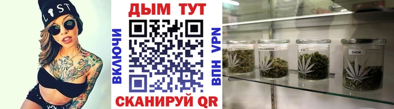 Конопля THC 21%  где можно купить   Новороссийск 
