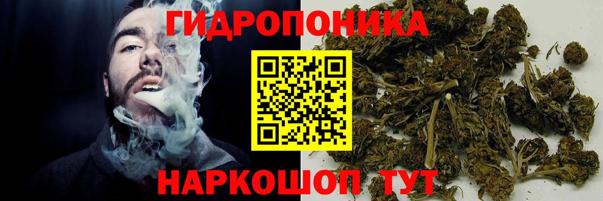 Конопля семена Новороссийск