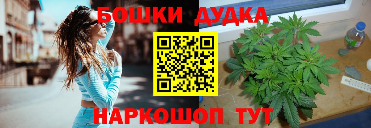 Бошки марихуана AK-47  Вход с VPN  МАРИХУАНА гибрид  Новороссийск  Канабис LSD WEED 